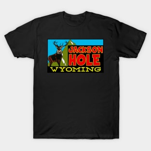 jackson hole wyoming T-Shirt